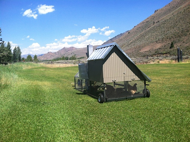 Front Yard Coop
