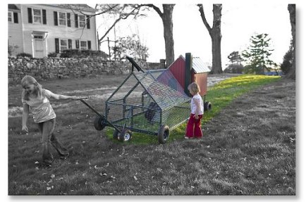 front yard coop