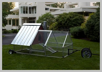 Front Yard Coop