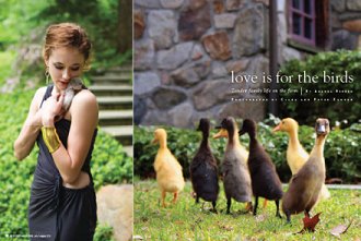 Bedford Magazine - Love is for the Birds